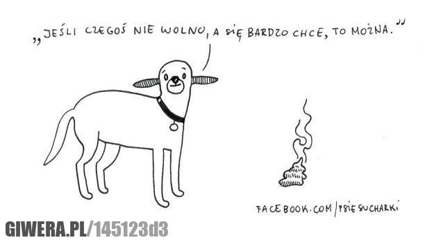 pies,sucharek
