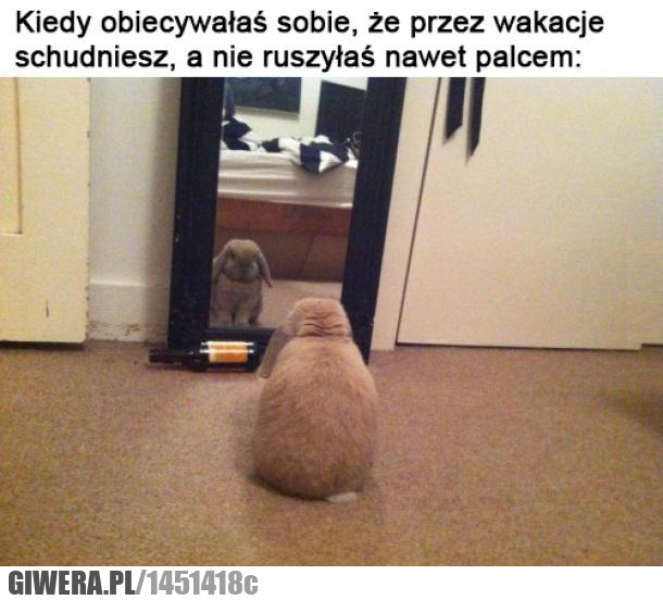 gdy nie schudłeś