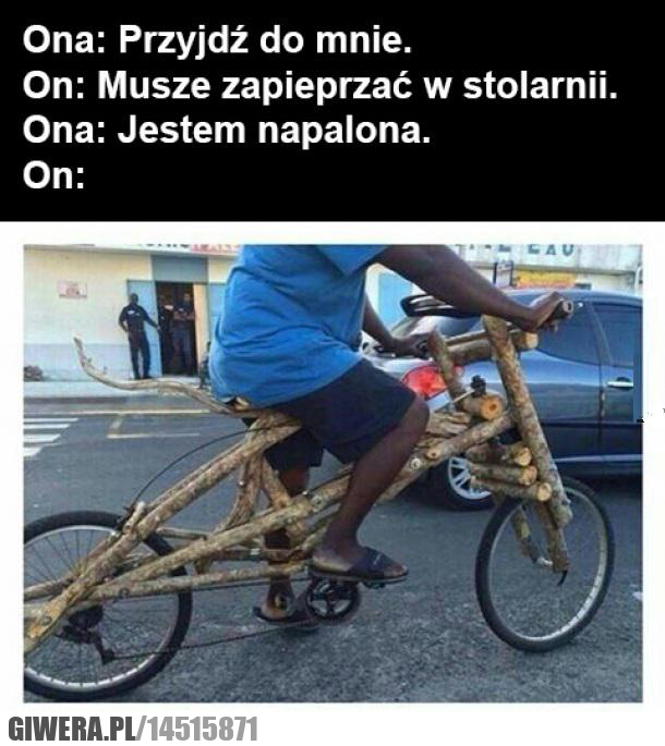stolarz