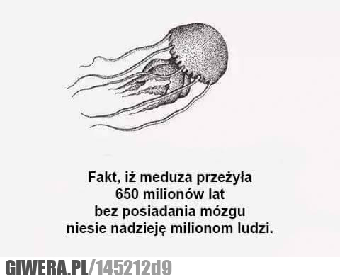 fakt