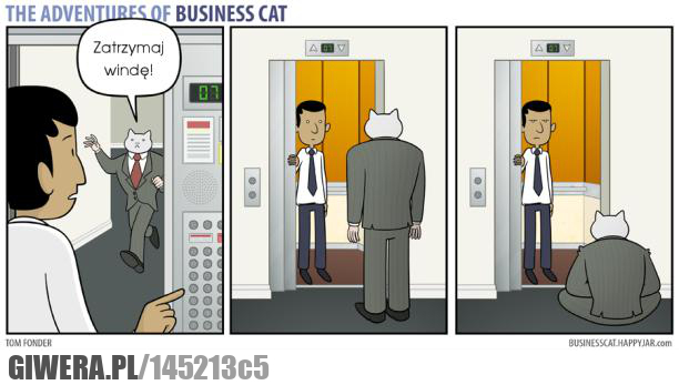 busieness cat,kot,biznesmen