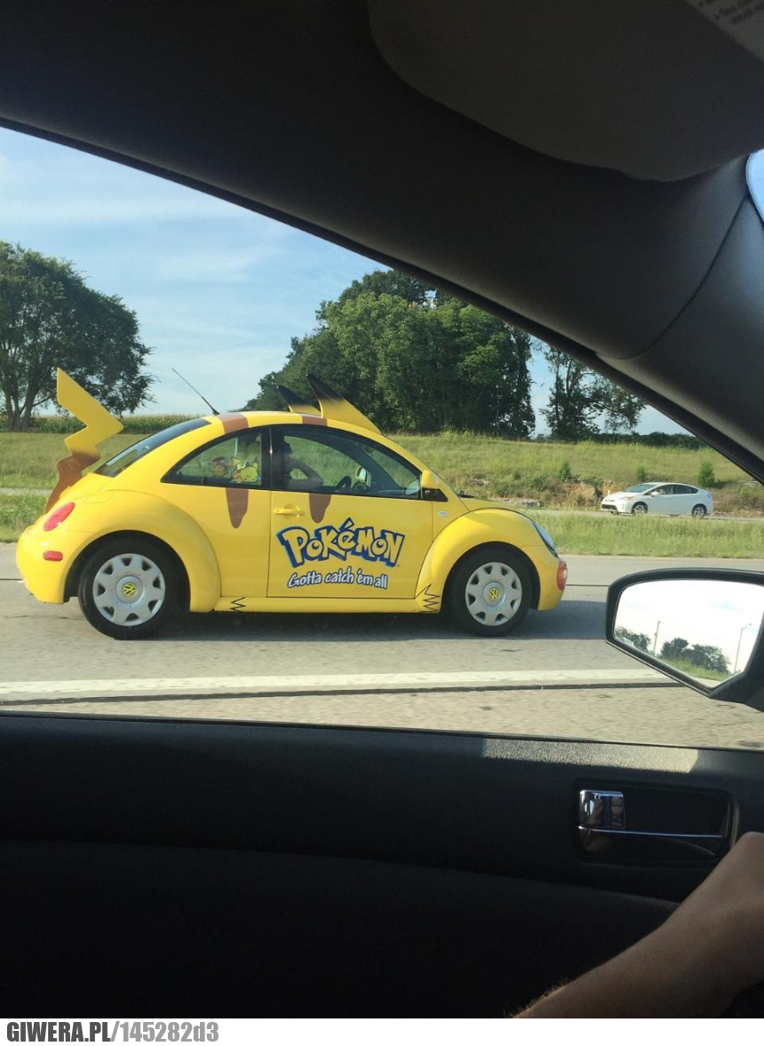 Pokemon,Tuning,Garbus