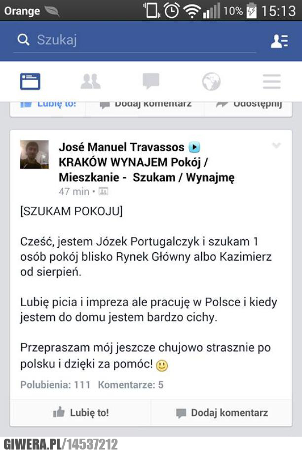 szukam pokoju
