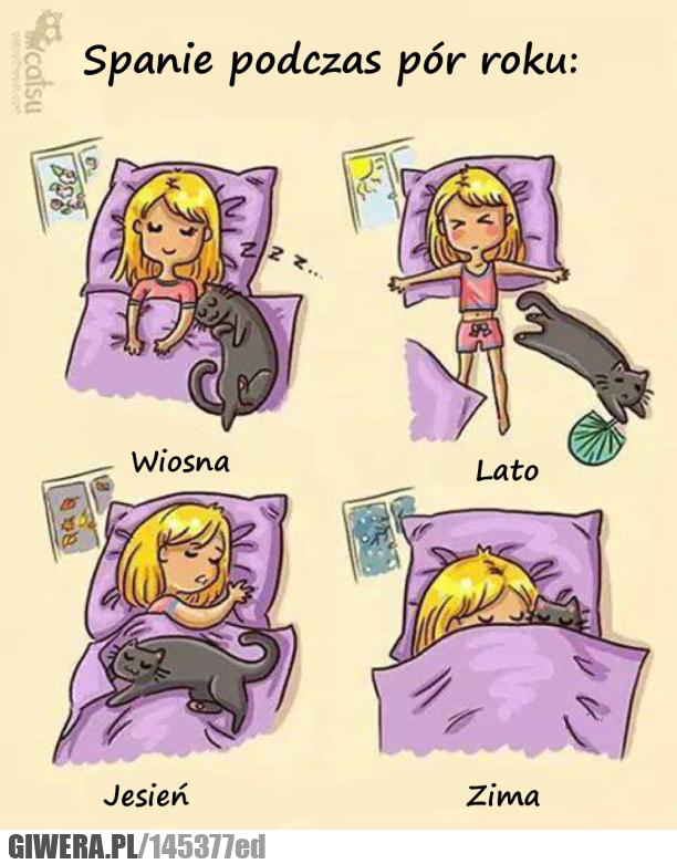 spanie,4 pory roku