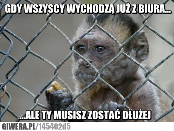 biuro,zostać
