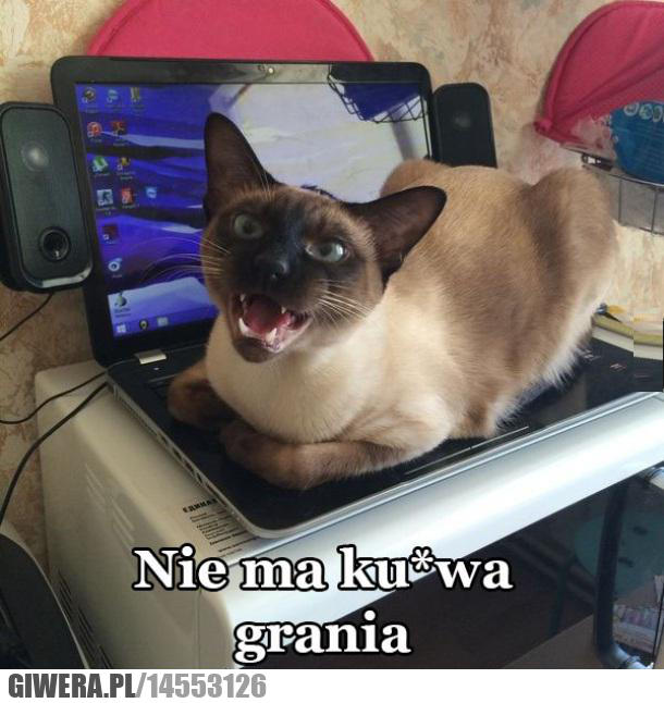 nie ma grania
