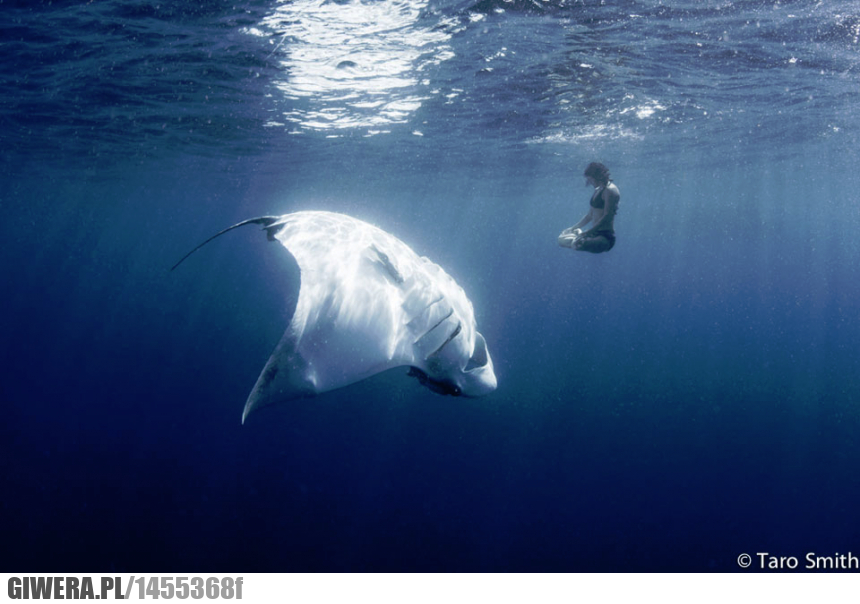 Joga,Yoga,Pod woda,płaszczka