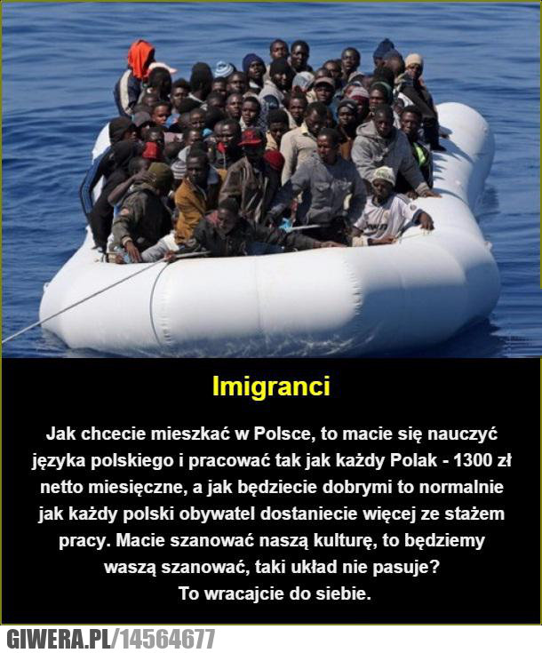 imigranci