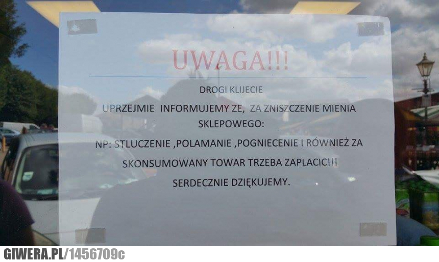 język, polski, ortografia