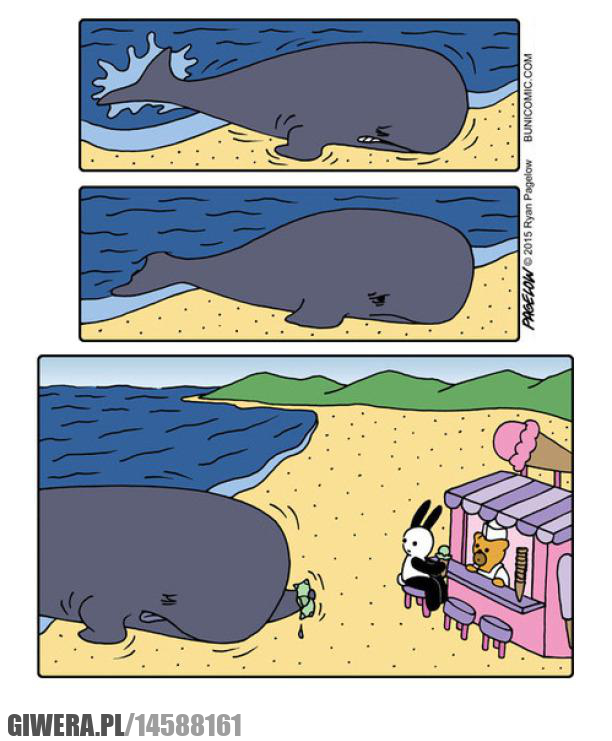 Buni