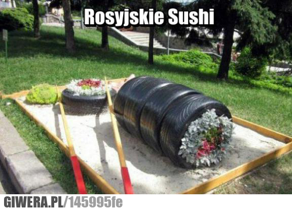 Rosyjskie Sushi,opona