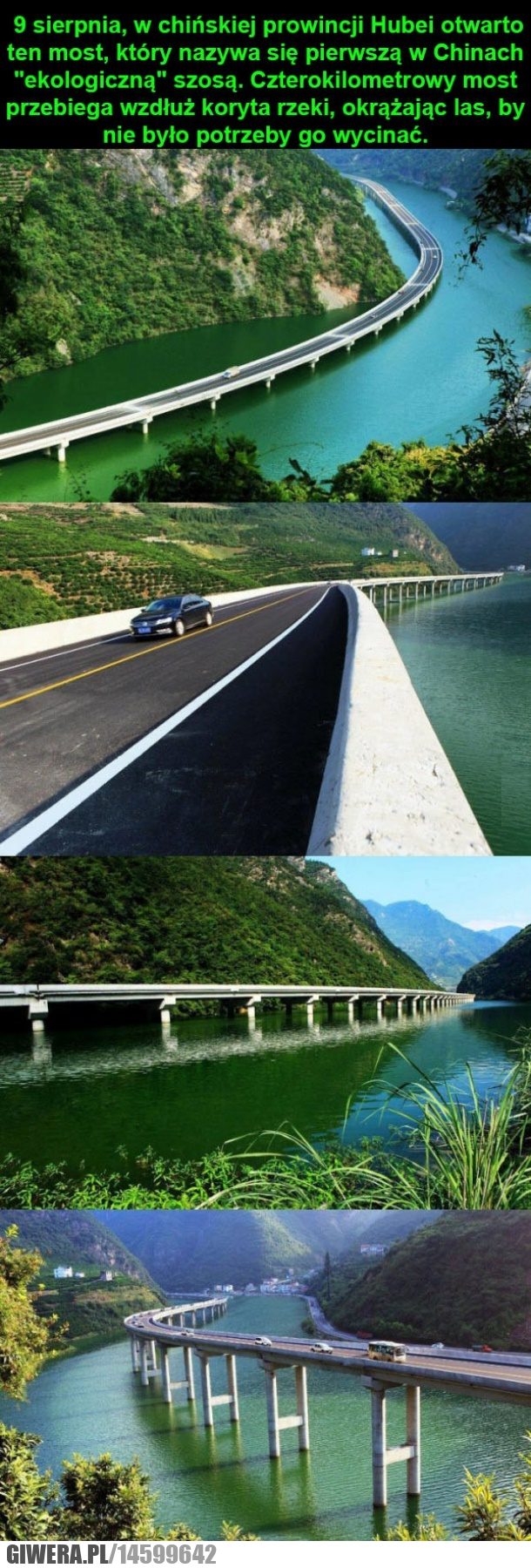 Ekologiczny most,szosa,chiny,most