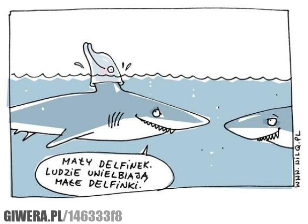 Delfin,rekin