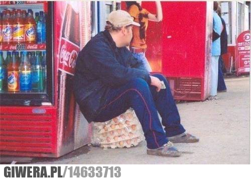 Geniusz,jajka
