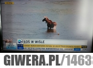 Cała prawda całą dobę