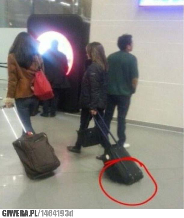 Logika kobiet,walizka