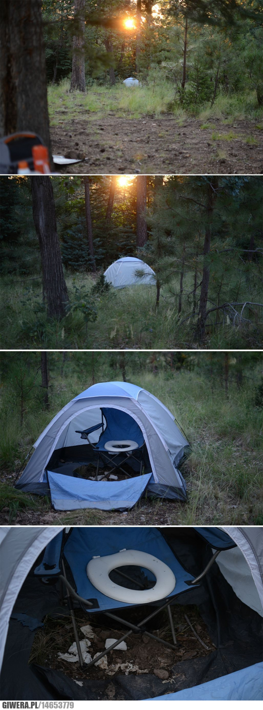 Leśna toaleta,namiot