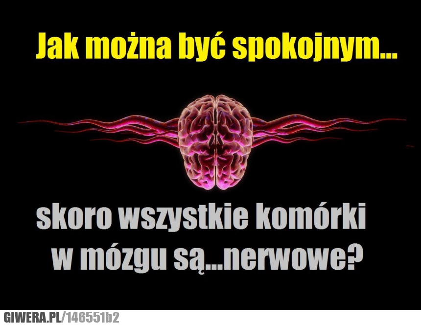 Komórki nerwowe