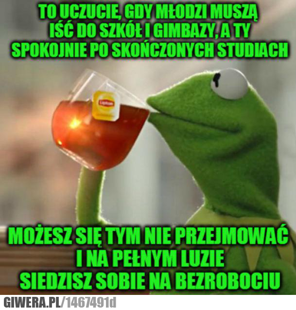 szkoła,gimbaza