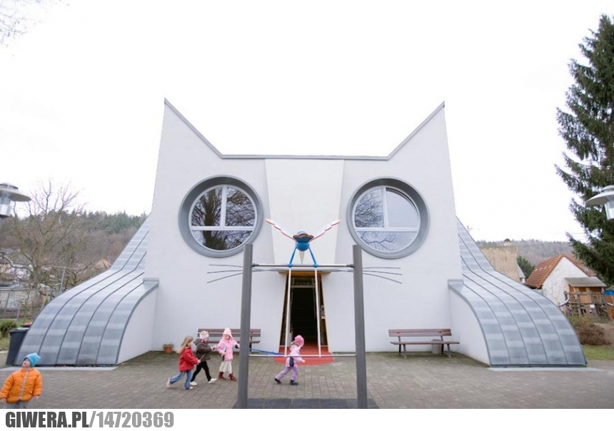 Przedszkole,kot,architektura
