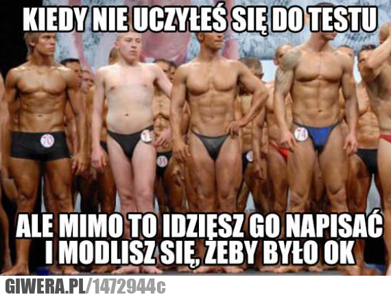 Test,kulturystyka,Studia