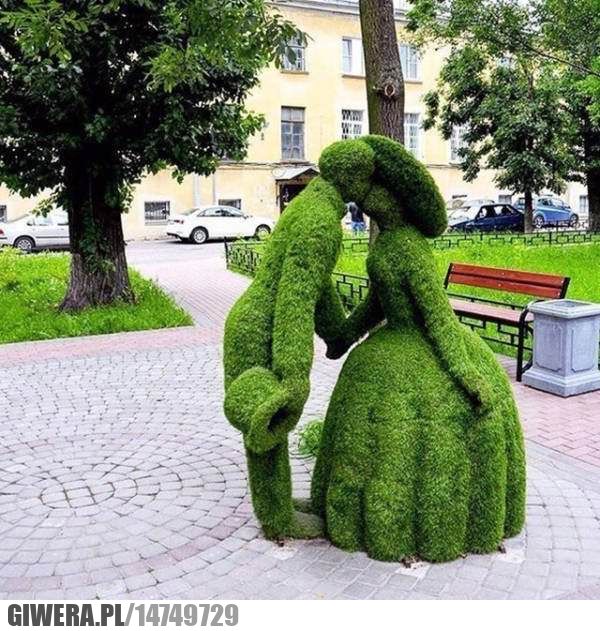 Street Art,żywopłot