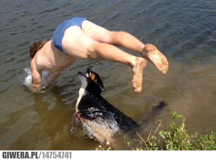 Skok do wody,pies,penis,beniz