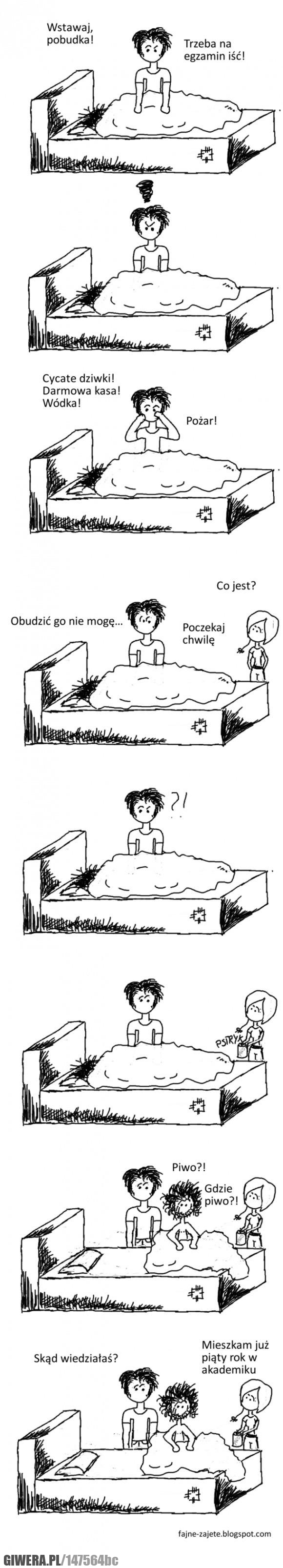 Akademik,Egzamin,uczelnia,studiowanie