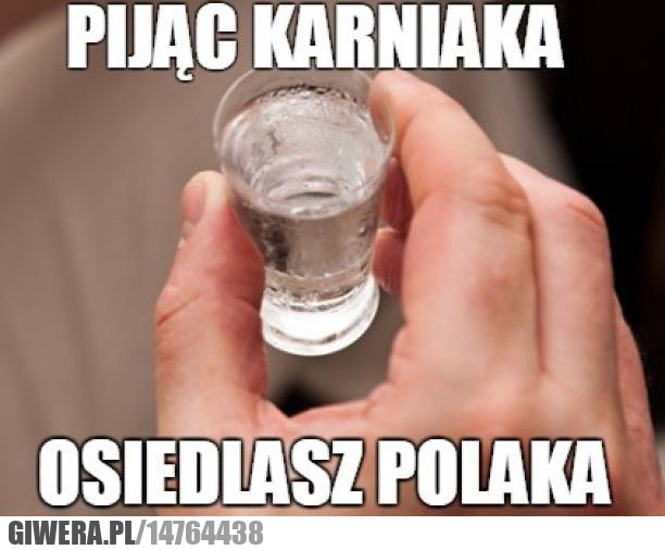 Karniak,vódka,wódka,Polak
