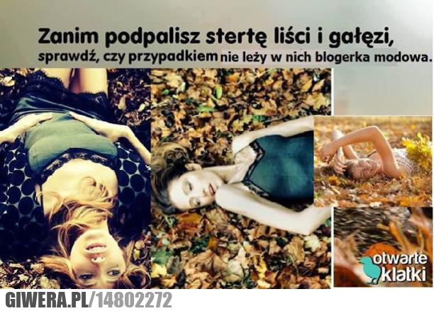 Blogerki,Szafiarki,liście