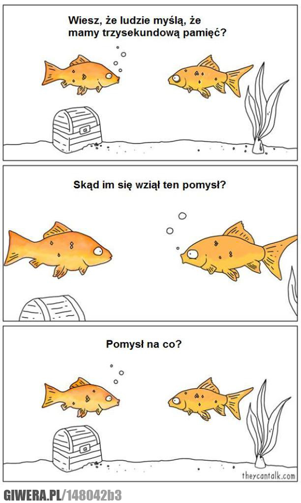 Złote rybki,złota rybka