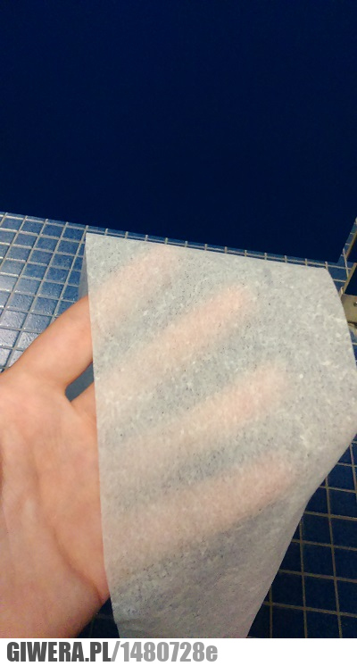 Papier toaletowy,Disneyland