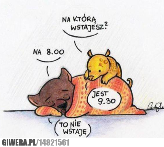 Studiowanie,wstawanie