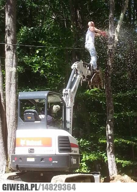 Drzewo,piła,koparka