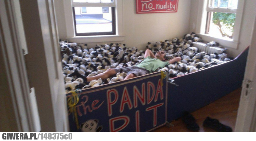 Praca,Panda Pit,odpoczynek,sjesta