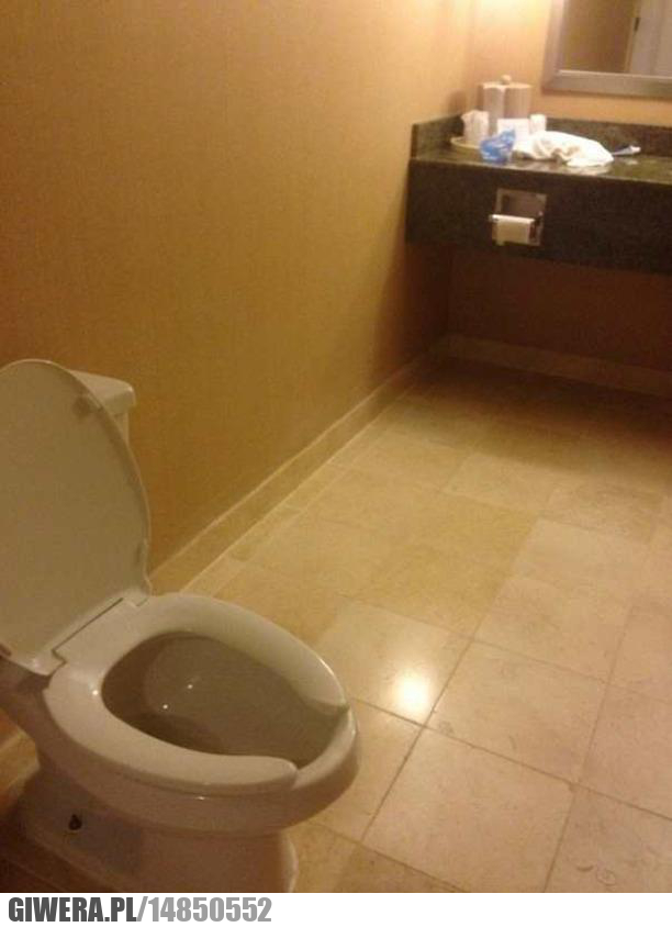 Toaleta,Papier Toaletowy,Inspektor Gadżet