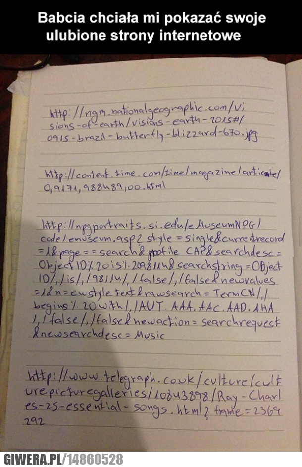 Babcia,Internet,zeszyt
