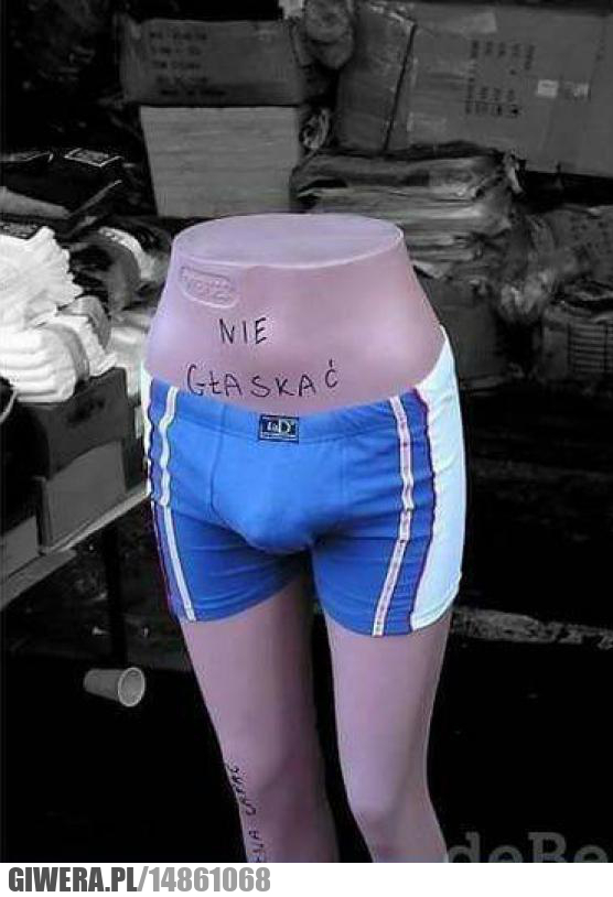 Nie głaskać,manekin