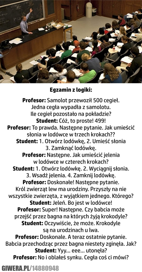 egzamin,z,logiki,logika,cegła,cegły