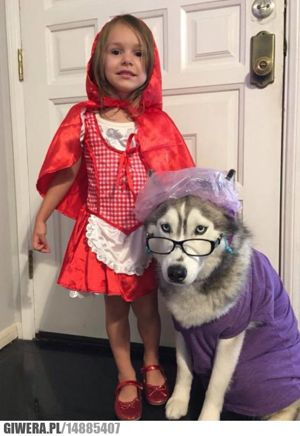 Cosplay,czerwony kapturek