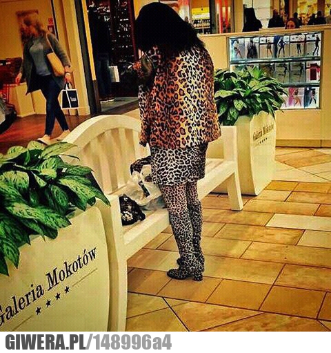 Moda damska,panterka