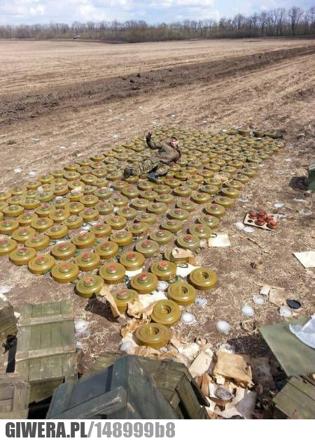 nagrody Darwina,mini