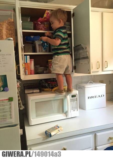 Mały cwaniak,słodycze