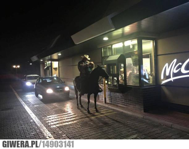 łódź,McDonald,koń