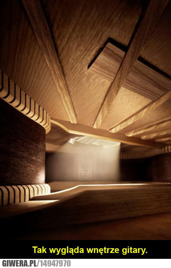 Wnętrze gitary