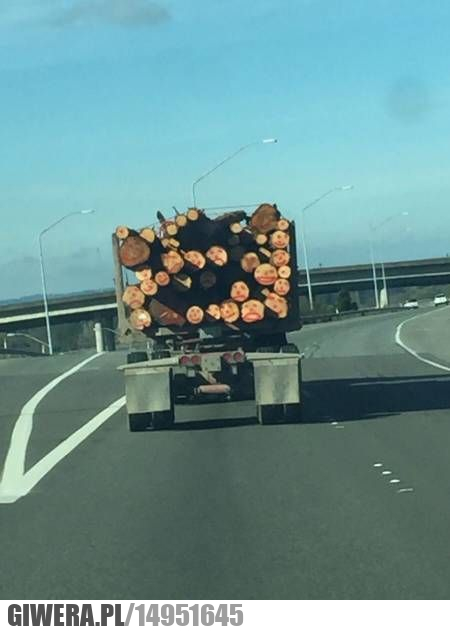 Oszukać przeznaczenie,drewno,uśmiech