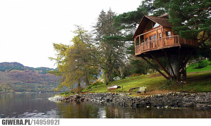 Dom na drzewie,jezioro