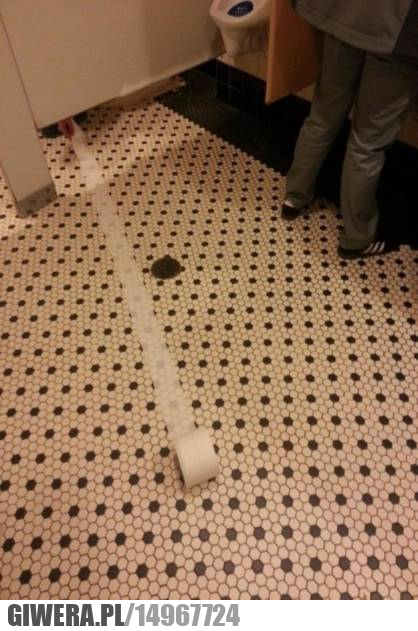 Toaleta,papier toaletowy,rolka papieru