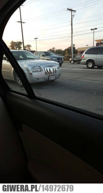 Grill samochodowy,szczęki