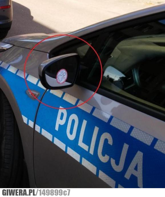 Karny kutas,policja,lusterko,karniak